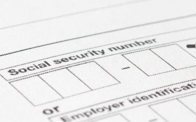 What Does a Social Security Trace Report Reveal?